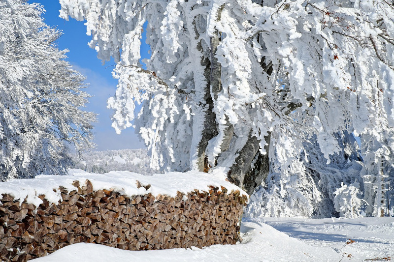 Damit das Brennholz im Herbst und Winter vor Schnee, Regen und Nässe geschützt ist, sollten Sie das Holz richtig abdecken.